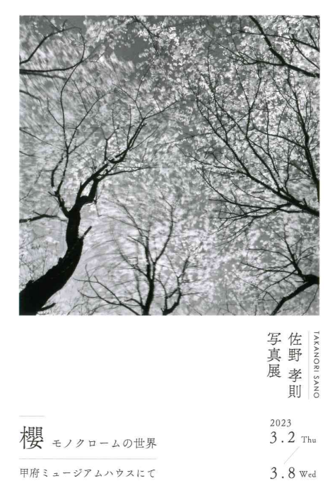 ３/２（木）～３/８（水） 佐野 孝則　写真展『 櫻 ～モノクロームの世界～』開催